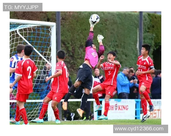 全球足球强国聚焦 探索顶级国家背后的崛起之路